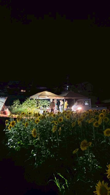 夜の畑に立つテント