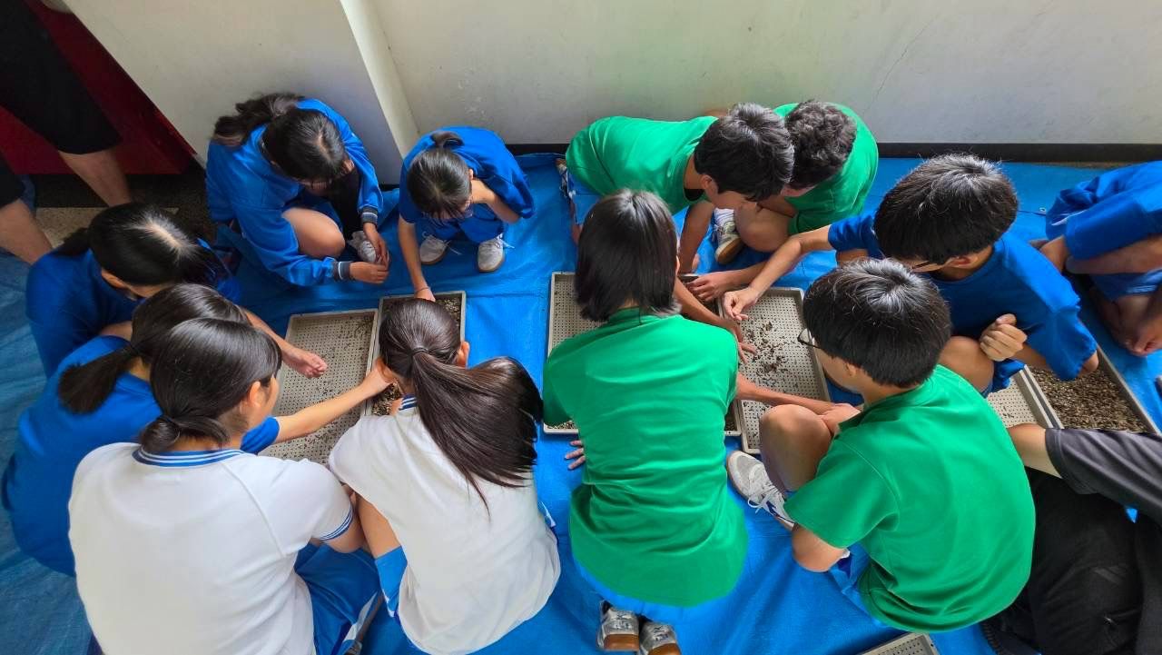 大勢でトレイを囲んで種を選り分ける子どもたち