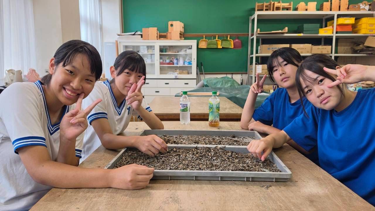 トレイの種を選り分けながらピースをする中学生