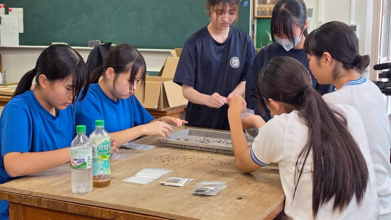 テーブルでトレイの種を選り分ける女子たち