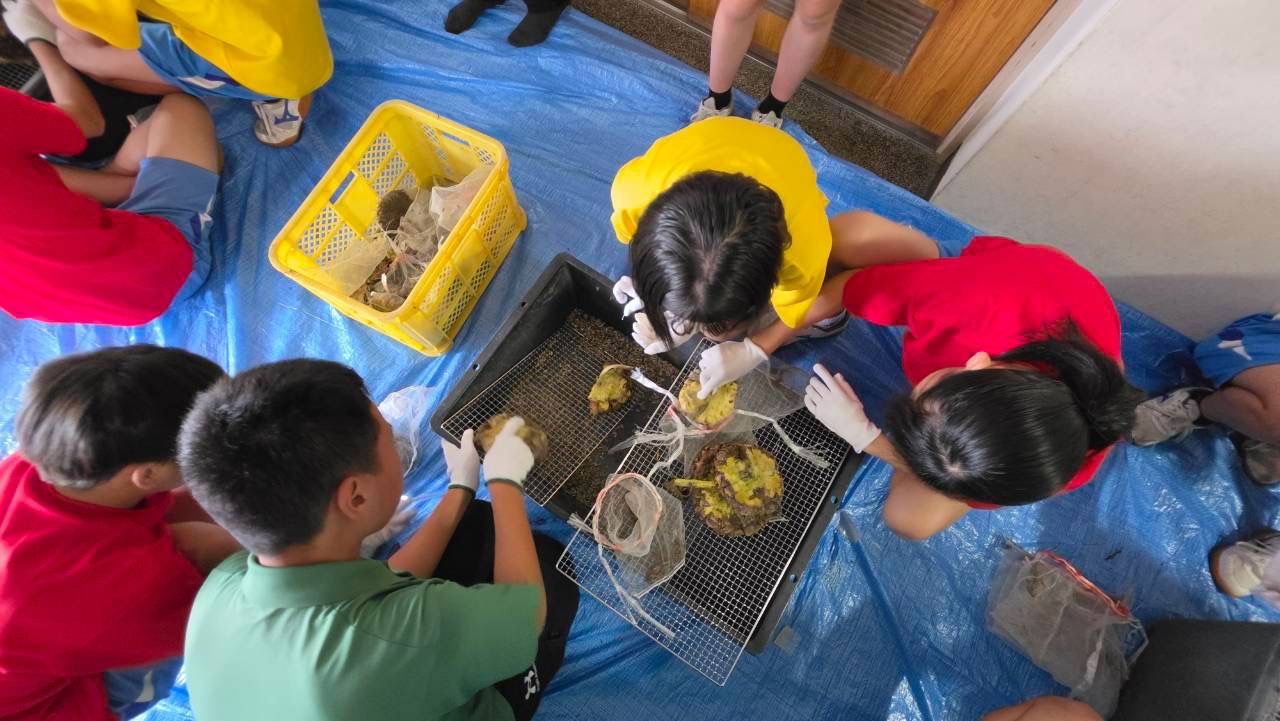 黄色いかごのそばで、花から種をとる子どもたち