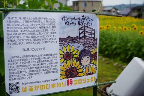 会場の案内看板