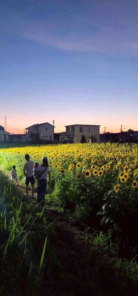 夕暮れの畑を歩く人たち