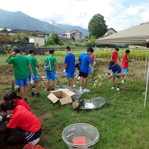 屋外で並んで作業する生徒たち
