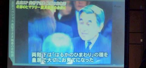 はるかのひまわりを伝えるテレビ映像