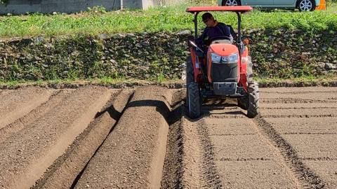 トラクターで畝を作る様子