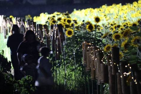 夜の畑と灯籠