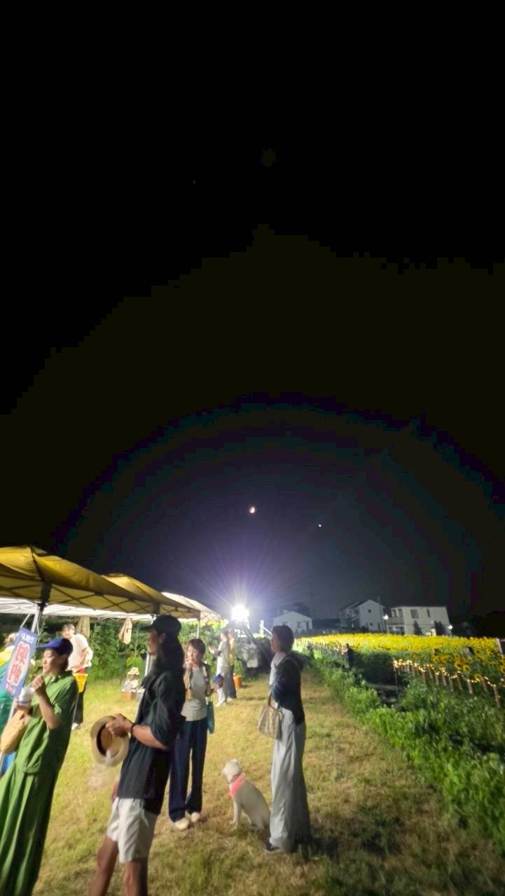夜空を見上げる来場者たち