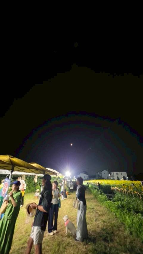 夜空を見上げる来場者たち
